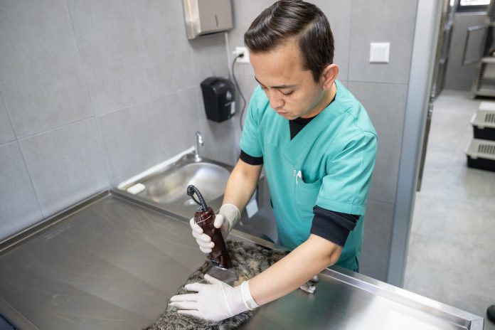 BÜYÜKŞEHİR’DEN YENİ BİR HİZMET DAHA KEDİ KISIRLAŞTIRMA MERKEZİ