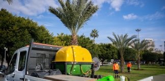 BÜYÜKŞEHİR, KENTİN SİMGESİ OLAN PALMİYELERİ ZARARLILARDAN KORUYOR