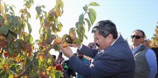 TARIM ÇALIŞTAYI BAŞLIYOR. ŞİMDİ SÖZ ÇİFTÇİNİN
