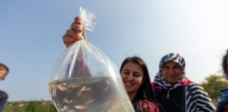 20 KADIN GİRİŞİMCİ HAŞERE MÜCADELESİ İÇİN LEPİSTES BALIĞI YETİŞTİRECEK