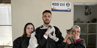 BÜYÜKŞEHİR VE GÖNÜLLÜLER PATİLİ DOSTLAR İÇİN İŞ BİRLİĞİ YAPIYOR