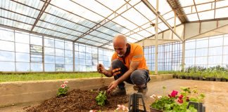 BÜYÜKŞEHİR, KOMPOST ÜRETİMİ İLE HEM DOĞAYI HEM ÇEVREYİ KORUYOR