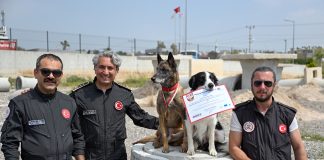 MERSİN İTFAİYESİ’NİN KAHRAMAN PATİLERİ ARES VE REX, ULUSLARARASI SINAVDA ZİRVEDE