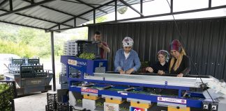 BÜYÜKŞEHİR’İN MAKİNE DESTEKLERİ İLE ÜRETİCİ KAZANIYOR, KIRSAL KALKINIYOR