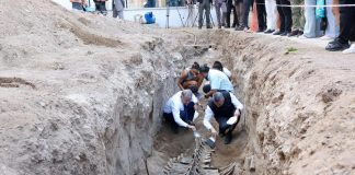 VALİ ATİLLA TOROS, FİN BALİNASI İSKELETİNİN BİLİMSEL KAZI İLE TOPRAKTAN ÇIKARILMASI PROGRAMINA KATILDI
