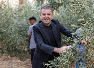 BİR DAL ZEYTİN, BİN UMUT, MEZİTLİ’DEN GELECEĞE DOKUNAN PROJE