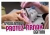 Protez Tırnak Eğitimi