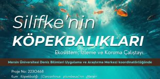 Silifke’nin Köpekbalıkları – 25 Nisan