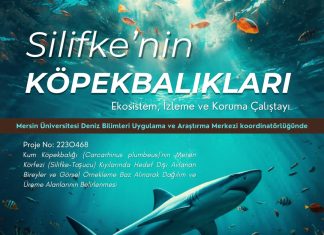 Silifke’nin Köpekbalıkları – 25 Nisan