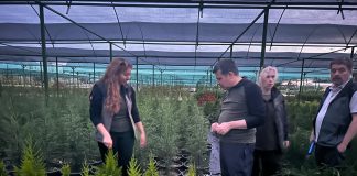 FİDANLIK VE TOHUM İŞLERİ DAİRE BAŞKANI ALPASLAN ALTINDAŞ MERSİN’DE İNCELEMELERDE BULUNDU