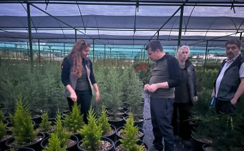 FİDANLIK VE TOHUM İŞLERİ DAİRE BAŞKANI ALPASLAN ALTINDAŞ MERSİN’DE İNCELEMELERDE BULUNDU