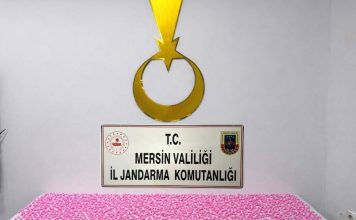 JANDARMADAN UYUŞTURUCU OPERASYONU