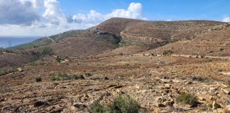 YANIK SAHALARIMIZ AĞAÇLANDIRILIYOR