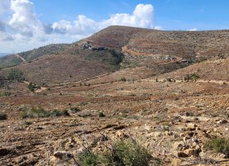 YANIK SAHALARIMIZ AĞAÇLANDIRILIYOR