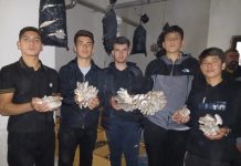 MAARİFİN KALBİNDE MARİFETLİ GENÇLİK