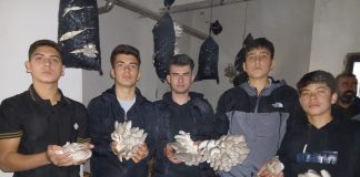 MAARİFİN KALBİNDE MARİFETLİ GENÇLİK