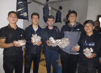 MAARİFİN KALBİNDE MARİFETLİ GENÇLİK