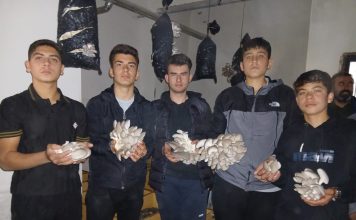 MAARİFİN KALBİNDE MARİFETLİ GENÇLİK