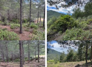 YANGIN RİSKİNİ AZALTMAYA YÖNELİK ÇALIŞMALARIMIZ DEVAM EDİYOR