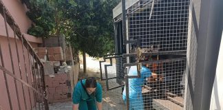 ‘Çöp Ev’ beklerken ‘Kedi Evi’ çıktı