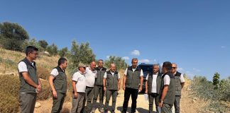 Gelir Getirici Zeytin Ağaçlandırması ile Orman Köylümüzün Yüzünü Güldürmeye Devam Ediyoruz