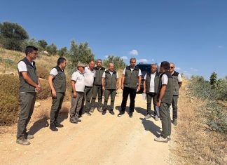 Gelir Getirici Zeytin Ağaçlandırması ile Orman Köylümüzün Yüzünü Güldürmeye Devam Ediyoruz