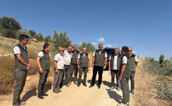 Gelir Getirici Zeytin Ağaçlandırması ile Orman Köylümüzün Yüzünü Güldürmeye Devam Ediyoruz
