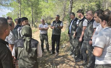 Silifke’de Ormancılık Çalışmaları Yerinde İncelendi