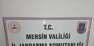 ANAMUR’DA TARİHİ ESER KAÇAKÇISINA JANDARMA OPERASYONU