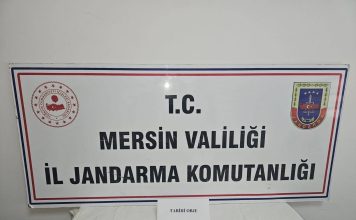 ANAMUR’DA TARİHİ ESER KAÇAKÇISINA JANDARMA OPERASYONU