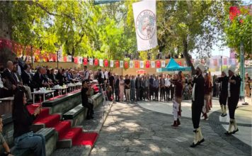3. Mut Zeytin ve Zeytinyağı Festivali Hakkında